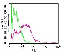 Monoclonal Antibody to Mouse ICOSL (Clone: HK5.3)